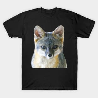 Cute Grey Fox T-Shirt